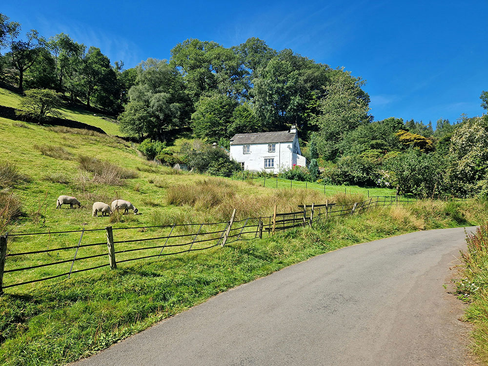 We advise on agricultural tenancies, rent reviews, tenancy renewals, end of tenancy disputes between landlords and tenants, licences, grazing agreements and succession applications.