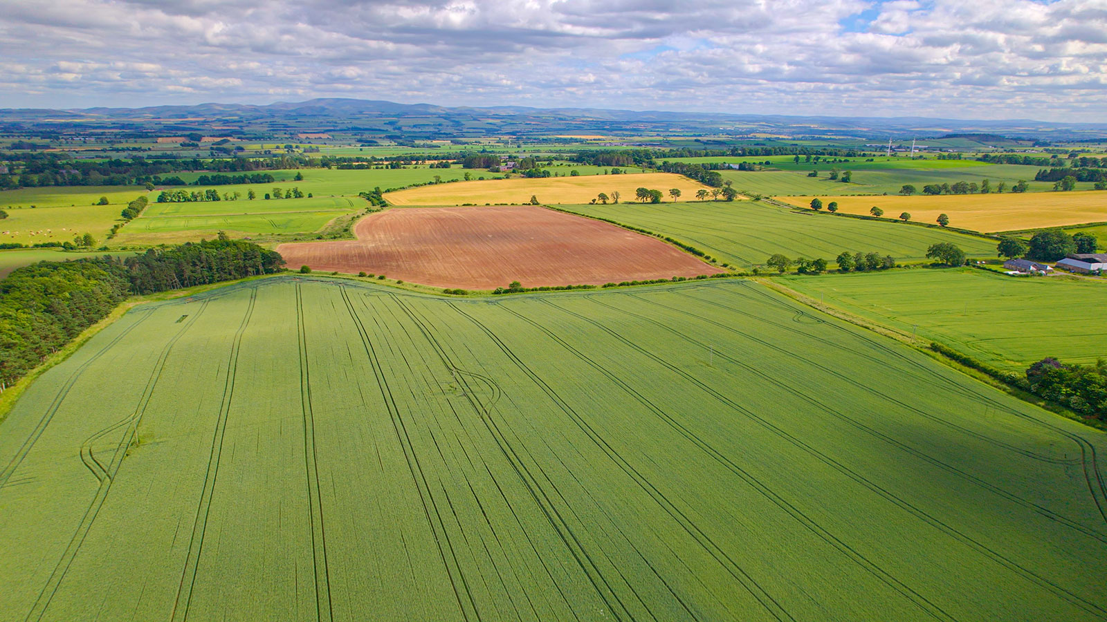 As a RICS-regulated firm, we provide valuation advice that is clear, considered and appropriate to the purpose required.